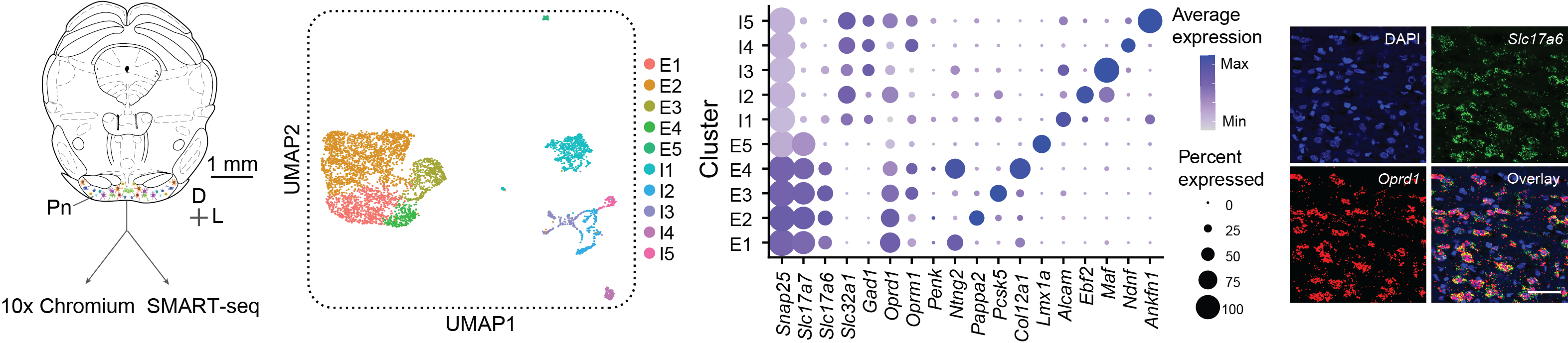 RNA_seq