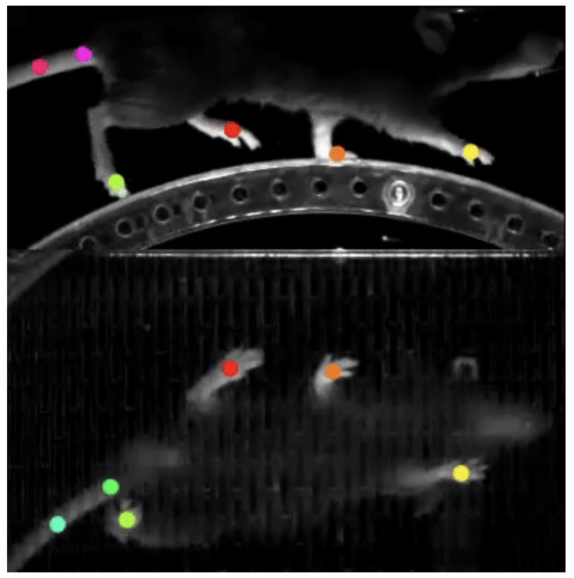 RNA_seq